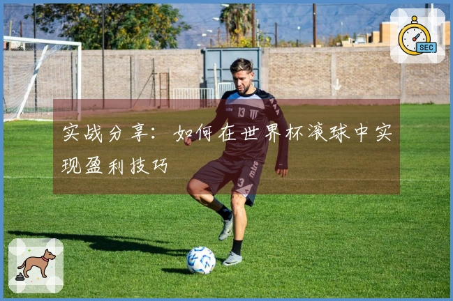 实战分享：如何在世界杯滚球中实现盈利技巧
