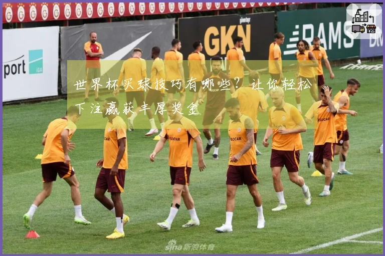世界杯买球技巧有哪些？让你轻松下注赢获丰厚奖金