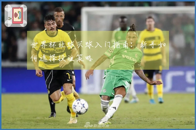 世界杯让球买球入门指南：新手如何选择投注策略