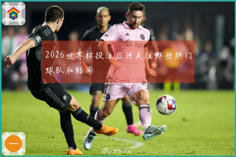 2026世界杯投注应该关注哪些热门球队和赔率