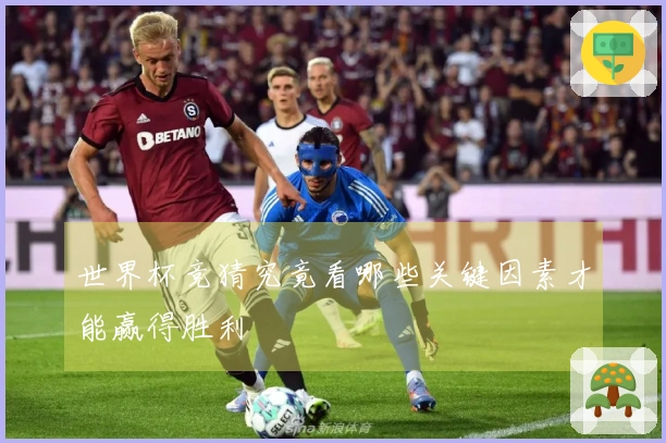 世界杯竞猜究竟看哪些关键因素才能赢得胜利