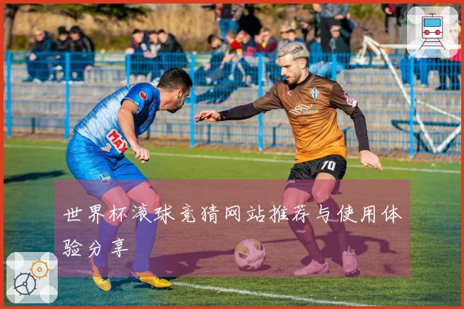 世界杯滚球竞猜网站推荐与使用体验分享